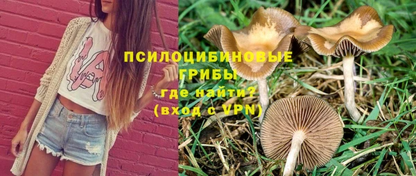 ECSTASY Елабуга