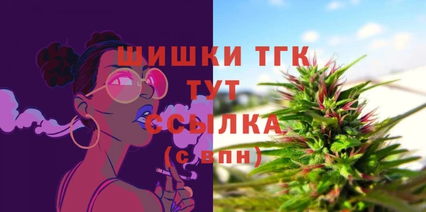 кокс Ельня
