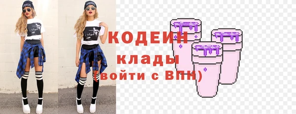 кокс Ельня