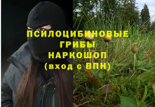 кокс Ельня