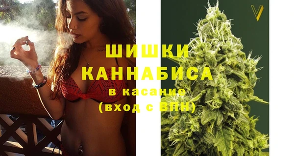 кокс Ельня