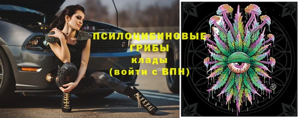 ECSTASY Елабуга