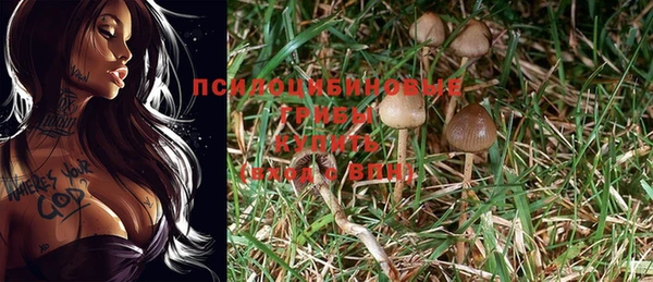 ECSTASY Елабуга